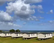 Beyond the Blame Game: Why It's Time to Stop Scapegoating Baby Boomers for Modern Woes