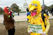 Big Bird Fights Back: Sesame Street Faces Funding Threat Under Trump's Budget Cuts