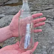 Bizarre Sighting: Locals Begged to Call Police Over 'Alien' Figure Lurking in the Dark