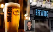 BrewDog Forced to Pull Punk IPA from 2,000 UK Pubs After Legal Threat