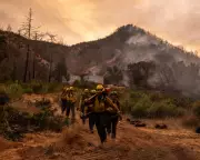 California's Napa Valley Engulfed: Fast-Moving Wildfire Forces Mass Evacuations and Threatens World-Famous Vineyards