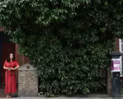 Campaign Launched to Protect Grenada Grapefruit Trees in London