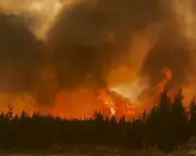 Canada's Wildfire Crisis: Record-Breaking Season Sparks Climate Concerns