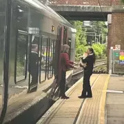 Cheeky Cat Sneaks Onto Stansted Flight in Purr-fect Stowaway Stunt