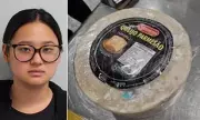 Cheesy Cocaine Smuggler Jailed: Woman Hid Drugs in Wheel of Cheese