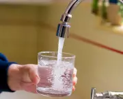 Chemical Giants Exposed: Secret Lobbying Campaign to Block UK Ban on Toxic 'Forever Chemicals'