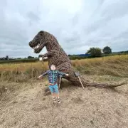 Cheshire's Ice Cream Farm Unveils Spectacular New 'Honeycomb Canyon' Adventure Playground