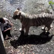 Chilling Last Photos of People Seconds Before Tragedy Struck