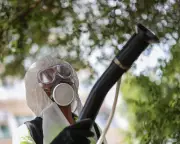 China Steps Up Mosquito Control to Combat Chikungunya Virus Outbreak