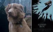 Cinema-Goers Left Stunned by Heartbreaking Horror Film Starring a Dog as the Lead