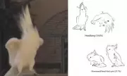 Cockatoos Bust a Move: Study Reveals Birds Can Dance to the Beat