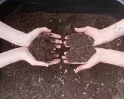 Composting Magic: A Teen's Guide to Turning Kitchen Scraps into Black Gold