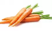 Could Carrots Be a Hidden Threat to Men's Sexual Health? New Study Reveals Surprising Findings