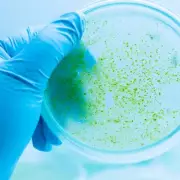 Deadly Danger in Your Home: Experts Warn About Common Toxic Substance