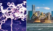 Deadly Disease Outbreak in Australia: Urgent Warning as Cases Surge