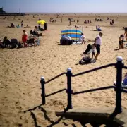Deadly Portuguese Man O' War Invade UK Beaches – Experts Warn of Severe Stings