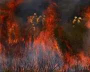 Deadly Wildfires Rage in Spain as Europe Battles Relentless Heatwave