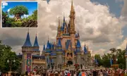 Disney World's Animal Kingdom Set for Major Transformation with Zootopia-Themed Attraction