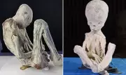 DNA Tests Reveal Shocking Truth About Peru's 'Alien Mummies' – Are They Really Extraterrestrial?