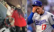 Dodgers vs Angels: Violent Brawl Erupts as Fan Knocked Unconscious in Shocking Stadium Clash