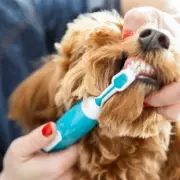 Dog Owners Alert: Urgent Warning to Check Pets for Deadly Disease This Summer