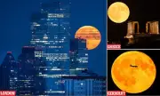 Don't Miss the Stunning Sturgeon Moon Lighting Up the Skies Tonight!