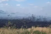 Dorset Wildfire: Holt Heath Blaze Closes Roads and Threatens Wildlife