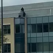 Dramatic Police Standoff in King's Hill: Armed Officers Surround Building in Major Incident