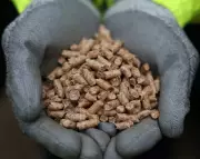 Drax Under Investigation: UK Watchdog Probes Energy Giant's Biomass Sustainability Claims