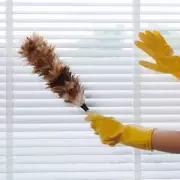 Dusty Blinds? This Simple Trick Keeps Them Clean for Weeks!