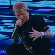 Ed Sheeran Stops Concert Mid-Song to Help Proposing Couple in Magical Moment