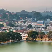 Elderly Man Brutally Killed by Pack of Dogs in Horror Attack