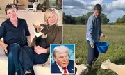 Ellen DeGeneres Quits Hollywood for UK Life After Trump Fallout – Inside Her Dramatic Exit
