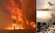 Europe in Flames: Spain and Portugal Battle Catastrophic Wildfires in Worst Season on Record