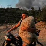 Europe's Summer of Fire: Record-Breaking Wildfires Scorch Continent in Terrifying Climate Warning