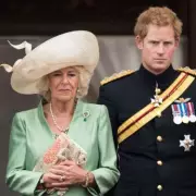 Ex-Royal Staffer Reveals Shocking Truths About Prince Harry: 'He Was Different Behind Closed Doors'