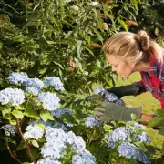 Expert Gardening Tips: 5 Plants You Must Prune in February for a Stunning Spring
