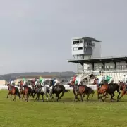 Expert Racing Tips for Monday: Ffos Las and Newbury Highlights