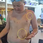 Family's £8k Cruise Nightmare: 'Vomit Everywhere' and No Refund