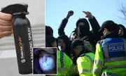 Football Hooligans Face DNA Tagging in Bold New Police Crackdown