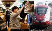 French Feline Fine: UK Expat Slapped with £1,700 Penalty for 'Excessively Noisy' Cat in Bizarre French Neighbour Dispute