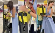 Furious Passenger Smashes Luggage at Airport After Vueling Flight Cancellation Chaos