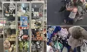 Garden Centre Forced to Lock Up Jellycat Toys After Brazen Shoplifter Stashes £655 Worth in Her Trousers | UK Retail Crime