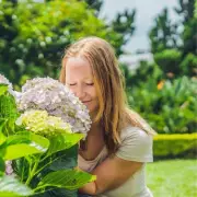 Garden Experts Reveal: 7 Foolproof Secrets for Stunning Hydrangeas This Summer