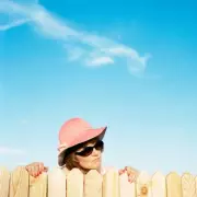 Garden Fence Law UK: Who Owns Which Side? The Ultimate Homeowner's Guide