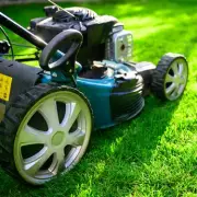 Gardeners, Act Now! The One Essential Task You Must Do This October