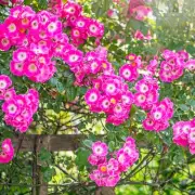 Gardeners Beware: This Common Mistake Could Ruin Your Spring Blooms