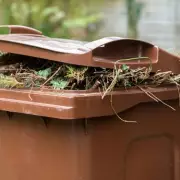 Gardeners Beware: You Could Face a £400 Fine for Common Composting Mistake