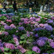 Gardeners, Don't Miss This Crucial August Task to Save Your Plants!