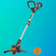 Gardeners' Secret Weapon: This £10 Argos Buy Transforms Your Lawn & Saves You Hundreds